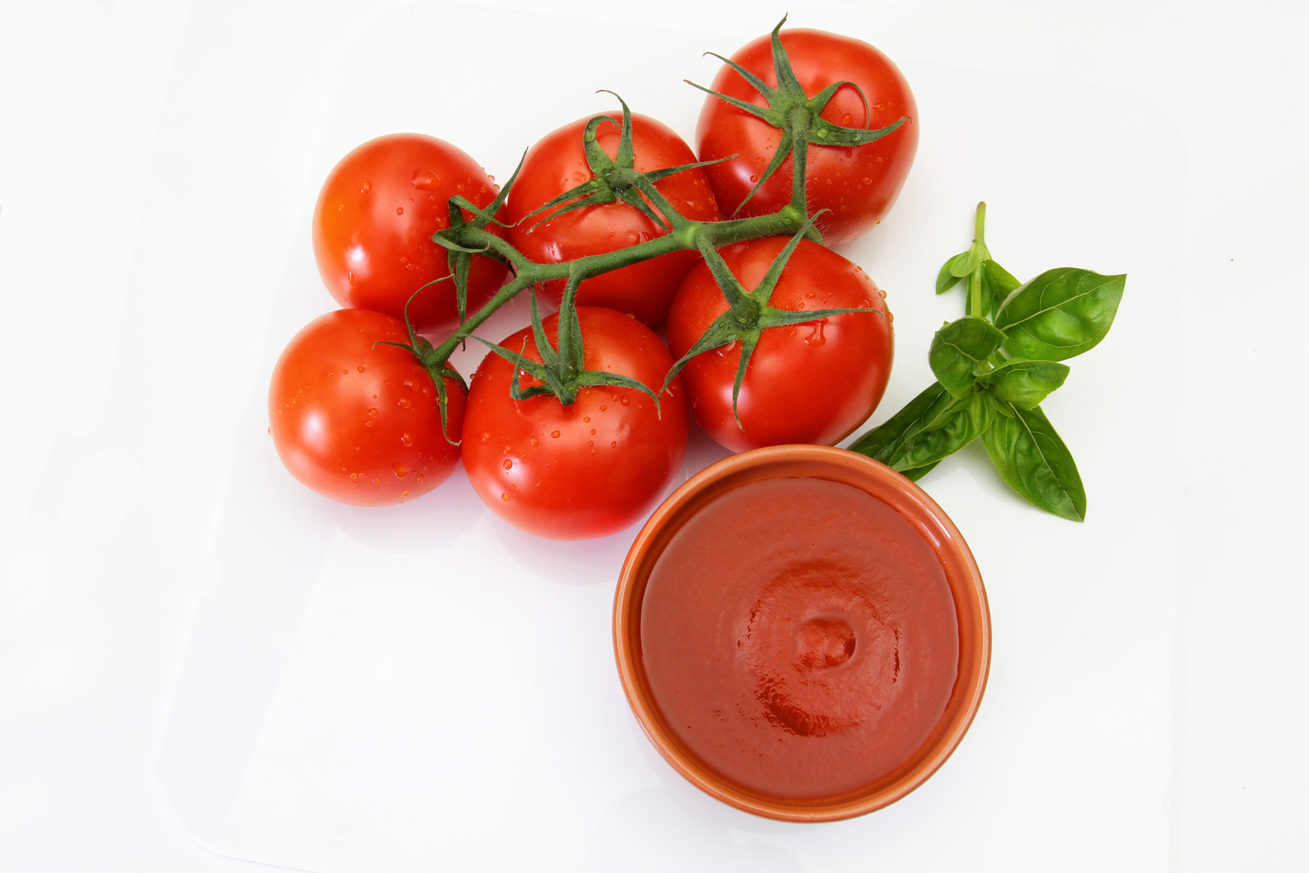 sauce tomate au basilic mamma-mia.re
